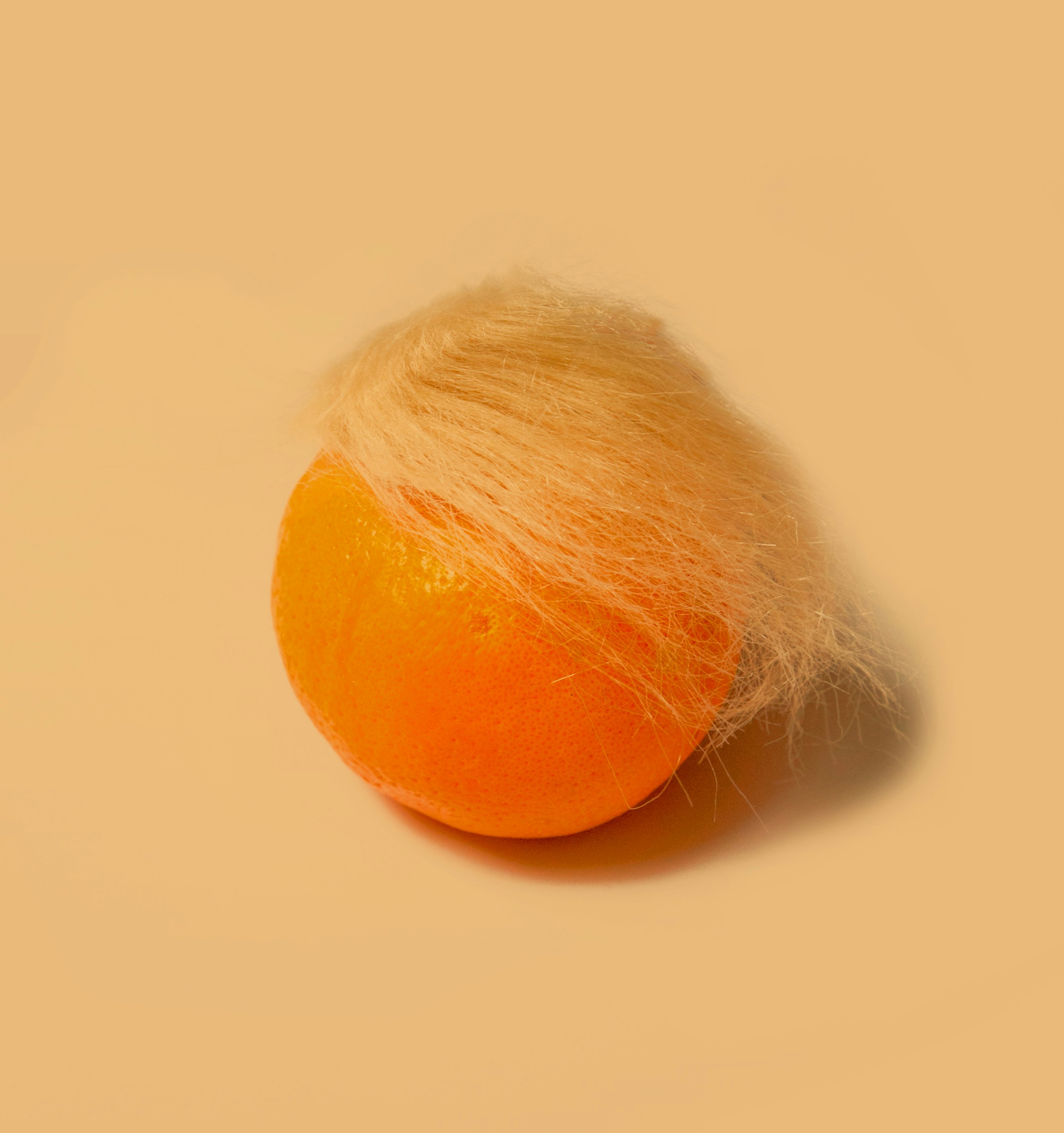 bewigged tangerine